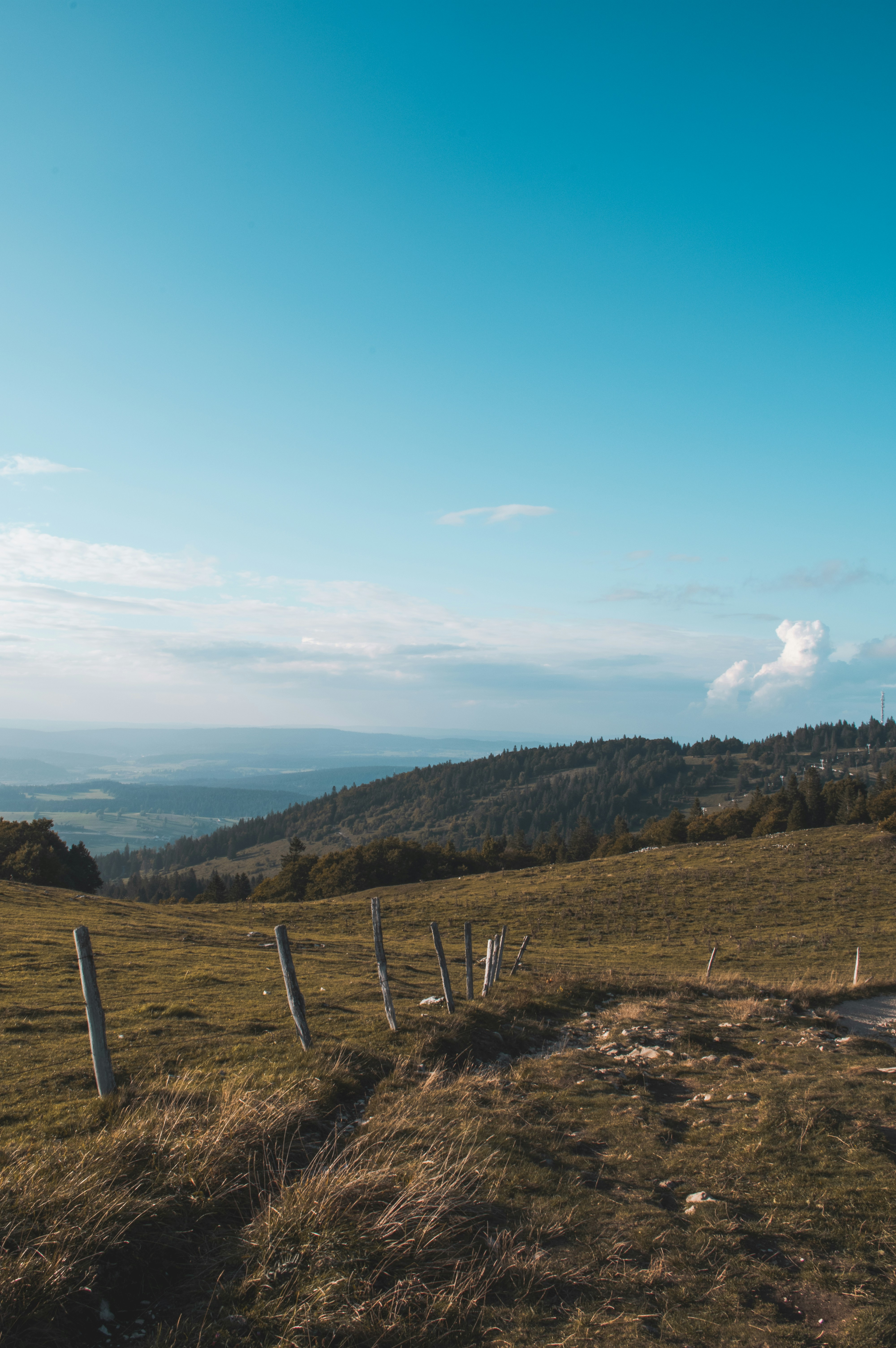 Photo by dylan_valente