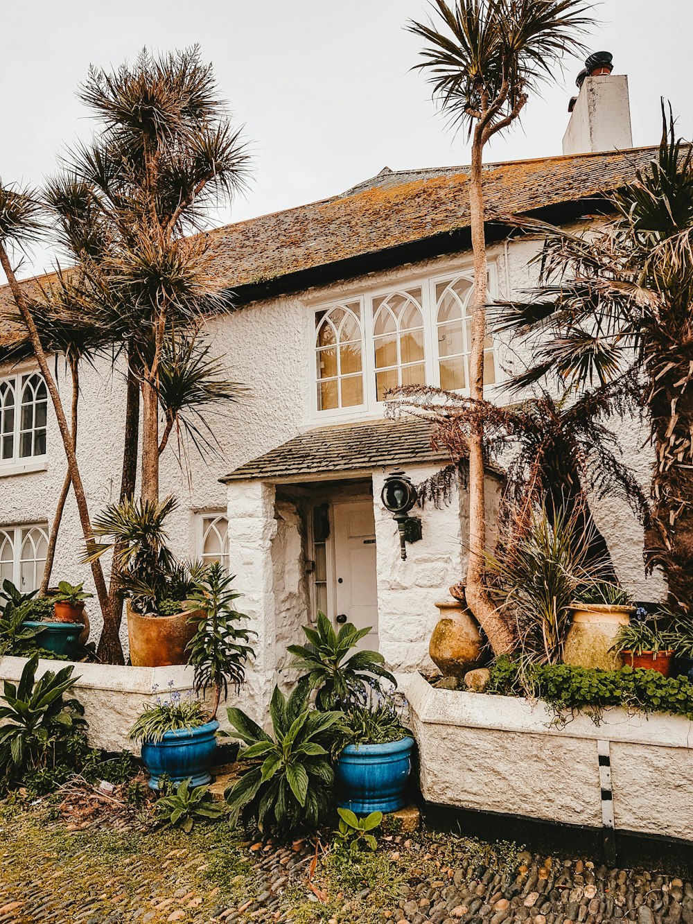 a white house with potted plants in front of it