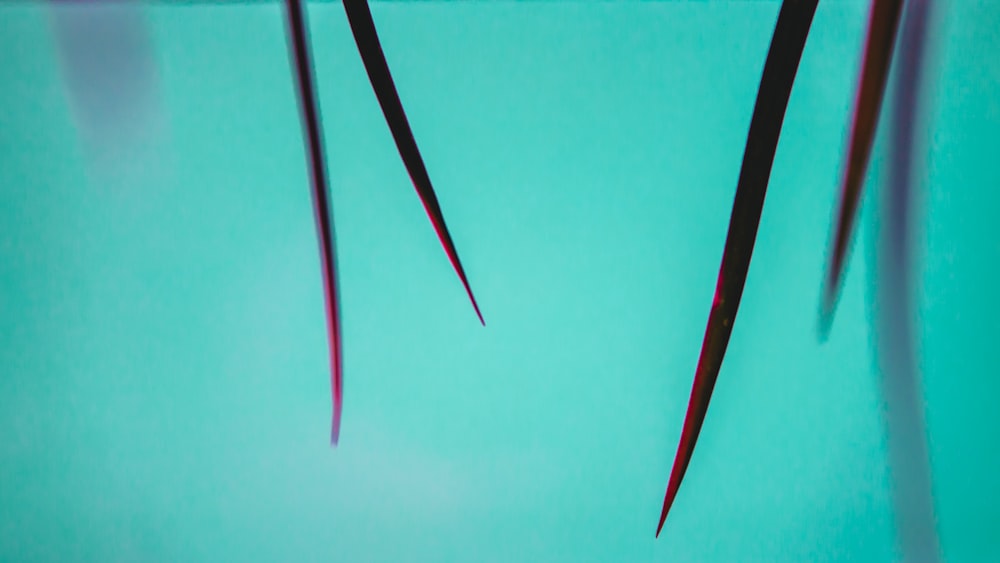 a close up of a pair of scissors on a table