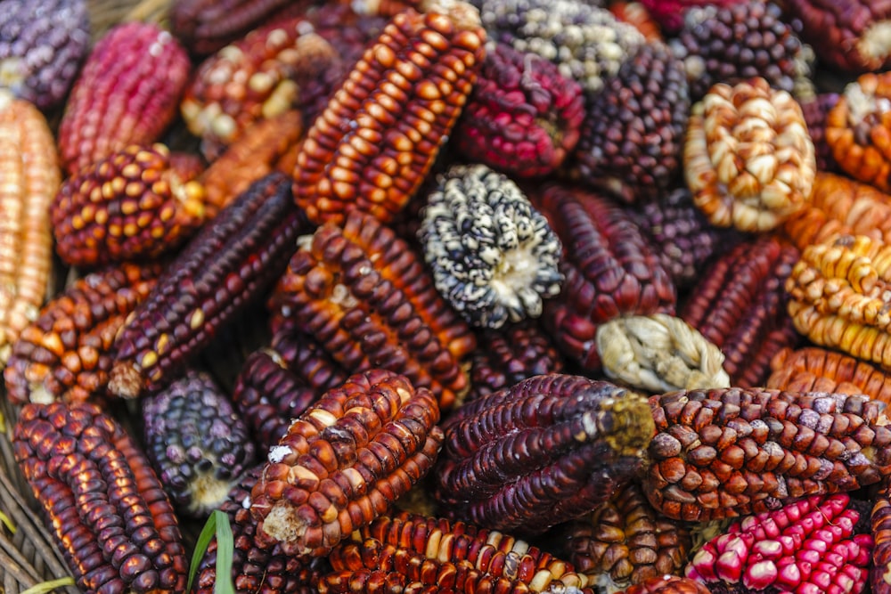 a basket filled with lots of colorful corn