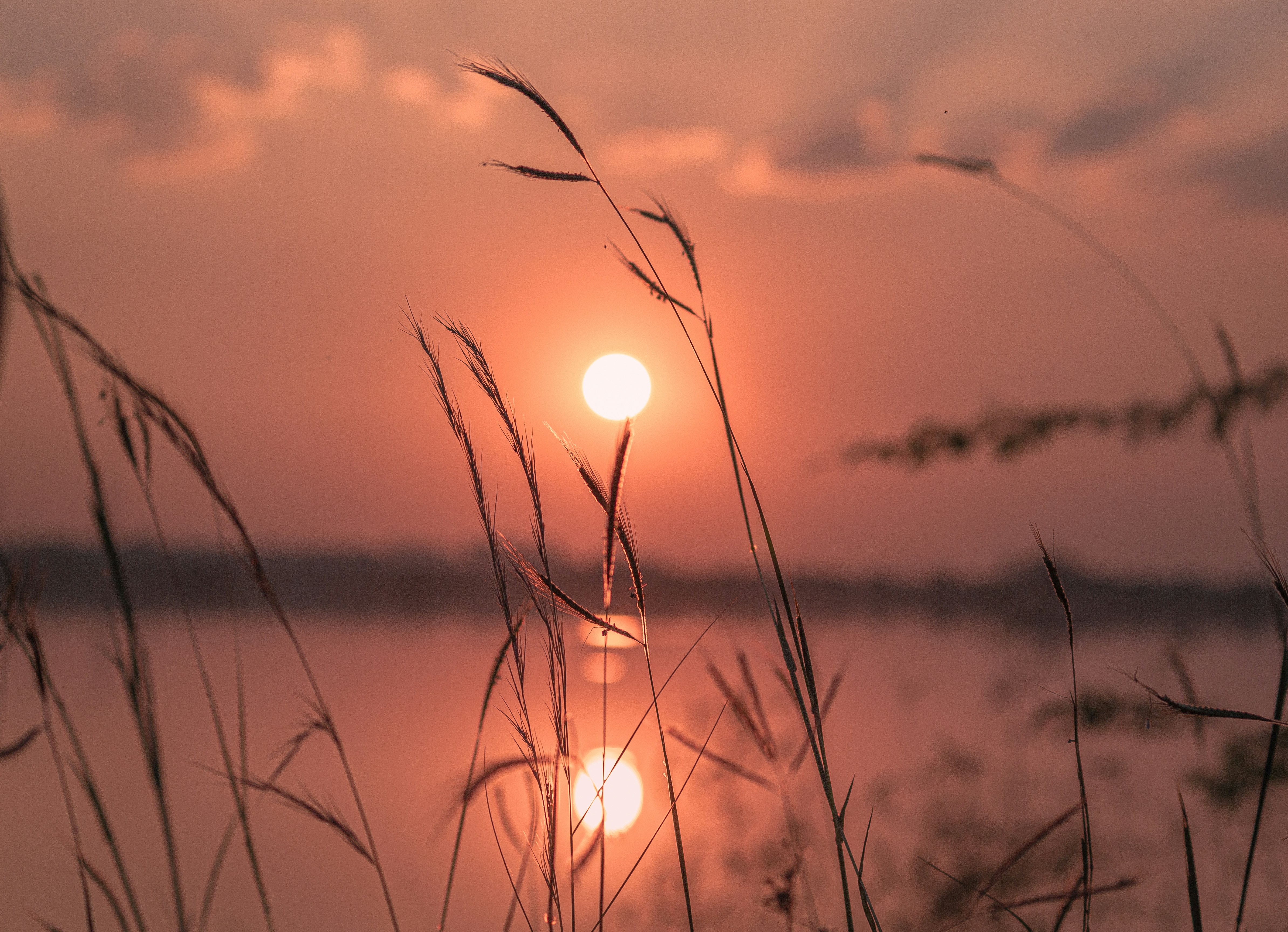 Photo by harshit_mahabale