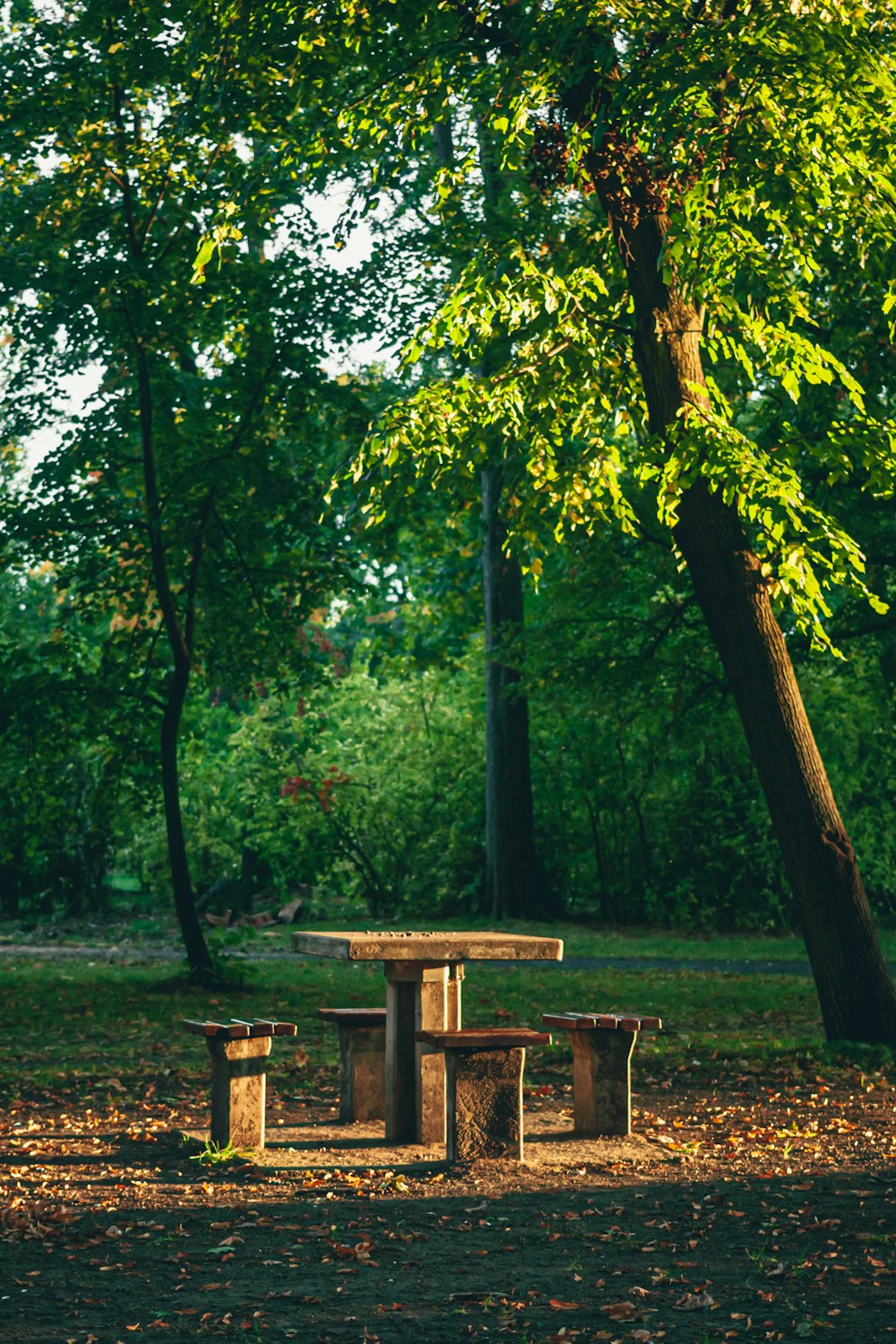 a picnic table surrounded by trees in a park