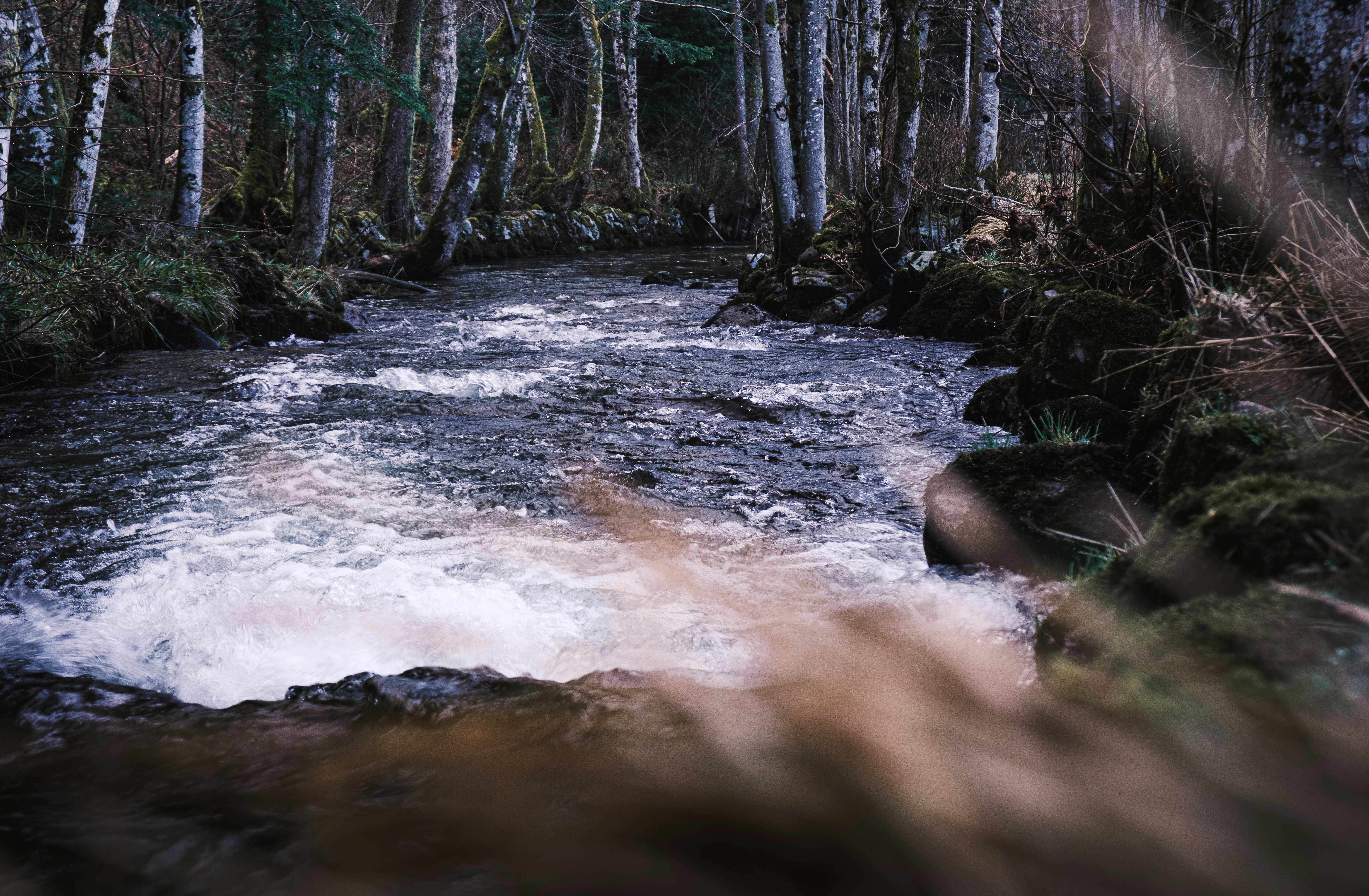 Moody low-light mountain stream with dew-kissed moss, dark stones, misty river banks, smoky atmospheric shadows