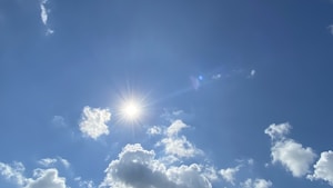 Floral Plus-Size Dress