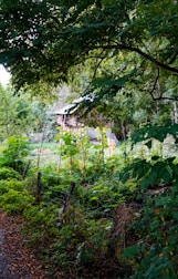 A rustic wooden house is nestled in the middle of dense greenery. Tall plants and overhanging trees surround the area, creating a secluded and serene atmosphere. The wooden structure appears aged and blends naturally with the environment, while the vibrant foliage highlights the lushness of the setting.