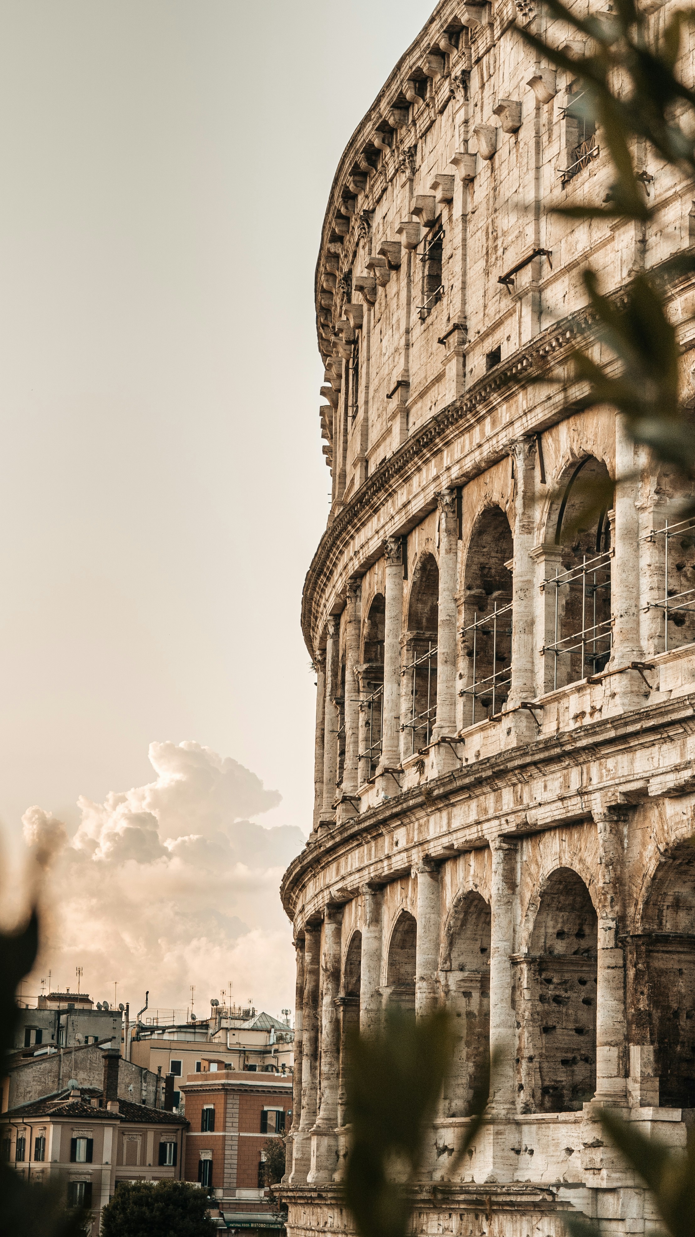 Photo by dariomuellerf