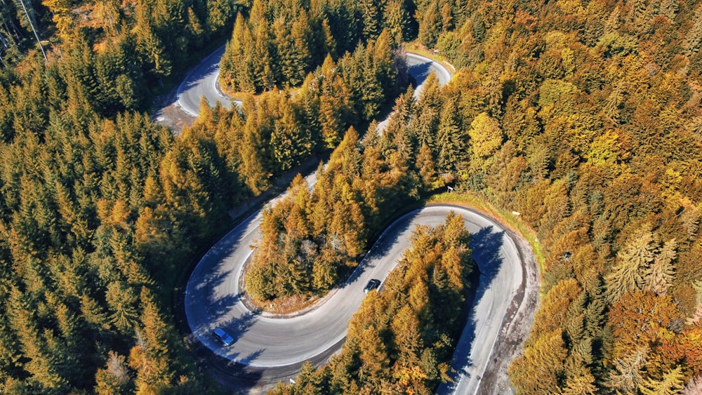 a winding road in the middle of a forest