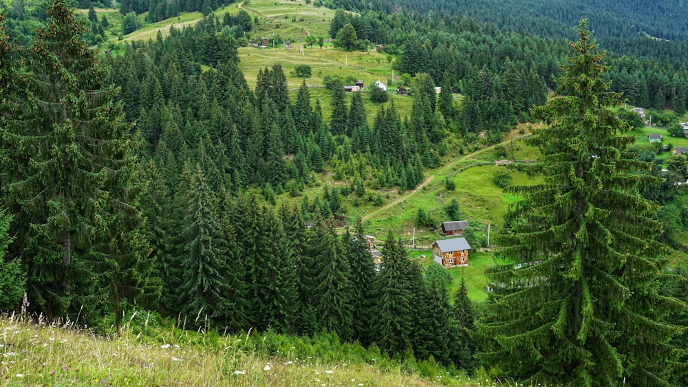 a small cabin nestled in the middle of a forest