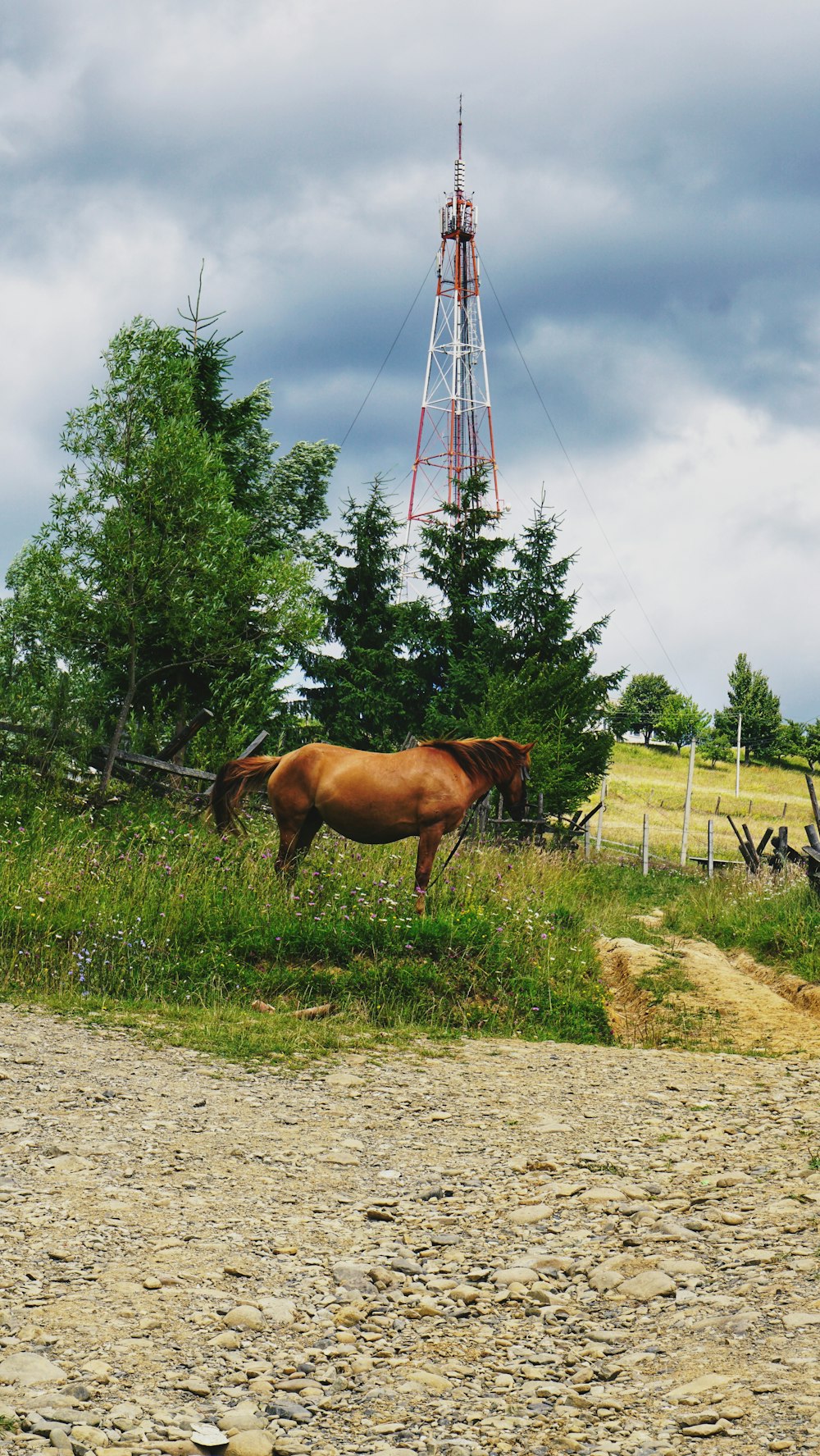 a brown horse standing in a field next to a fence