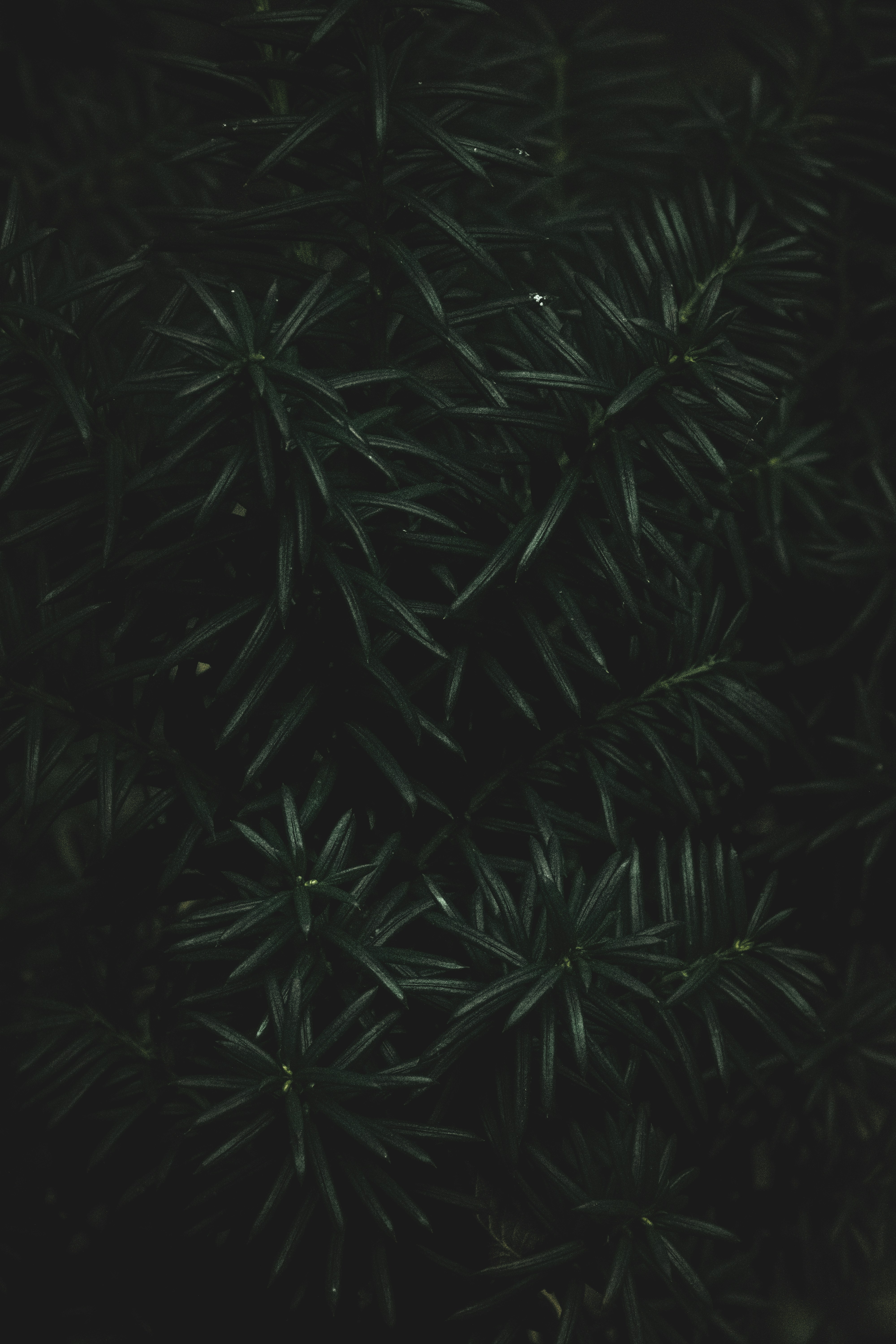 Photo by djordjegajic