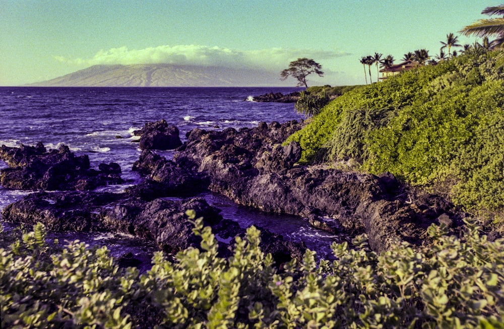 a view of the ocean with a mountain in the background