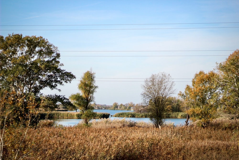 a view of a body of water surrounded by trees