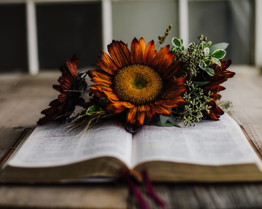 an open book with a bouquet of flowers on top of it