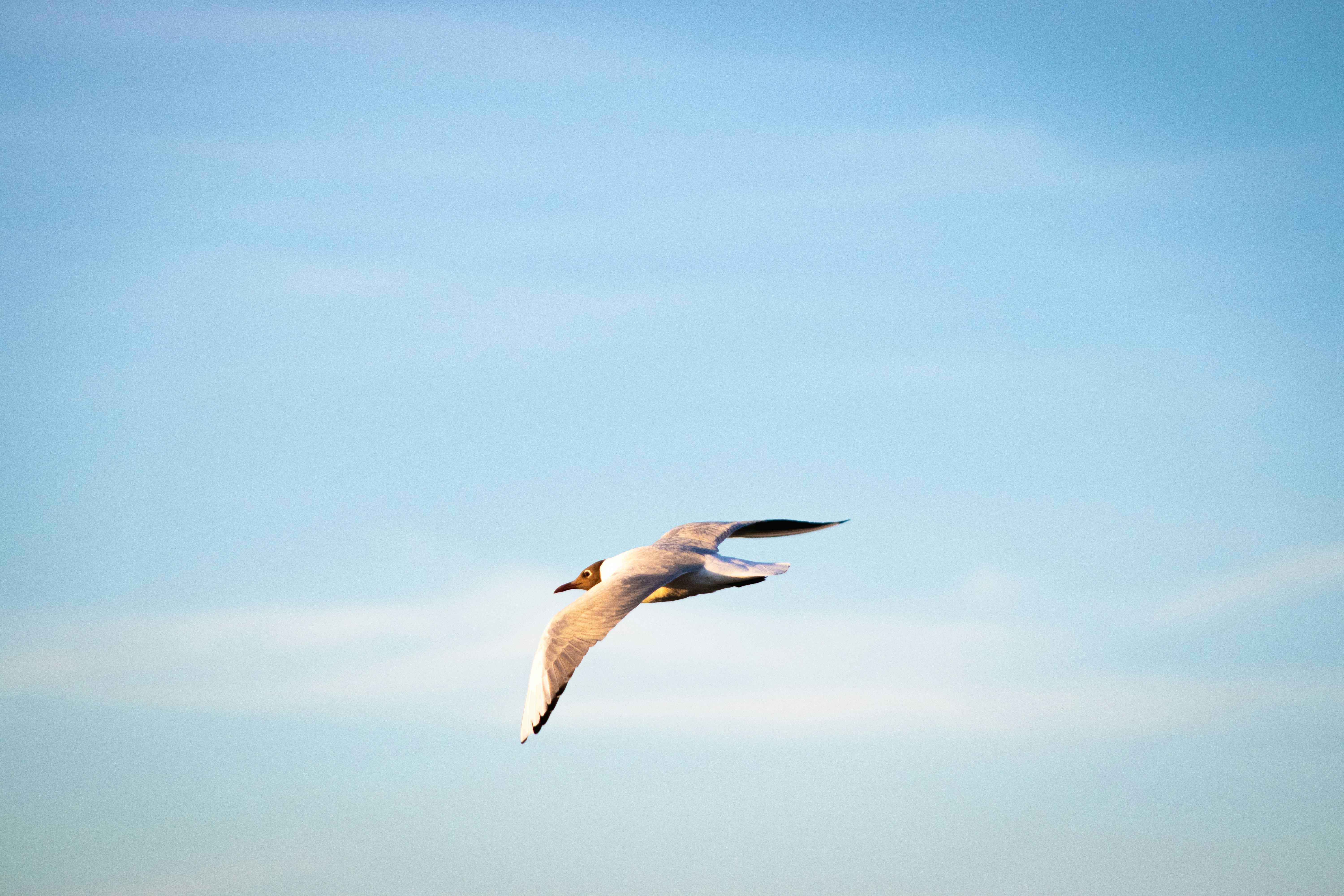 Photo by alpridephoto