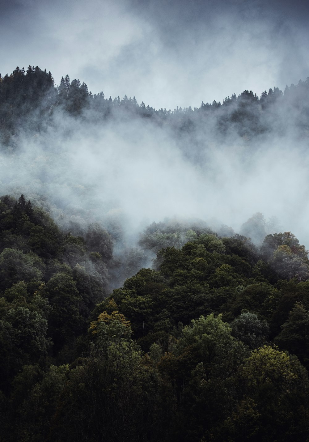 a mountain covered in fog with trees in the foreground