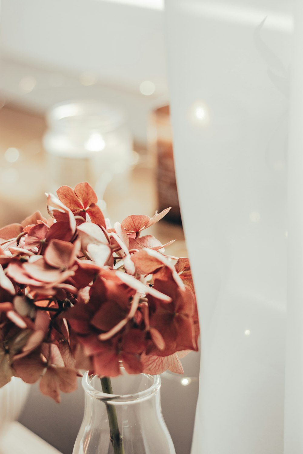 a vase filled with flowers sitting on top of a table