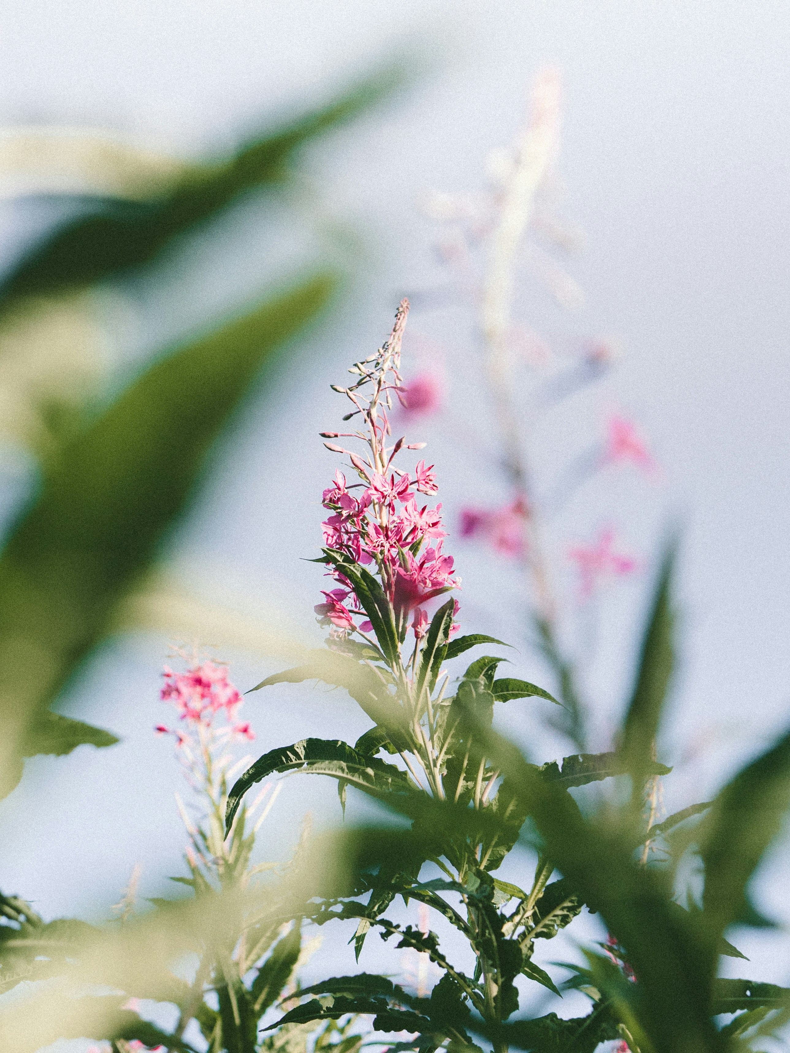 Photo by georgemcveigh