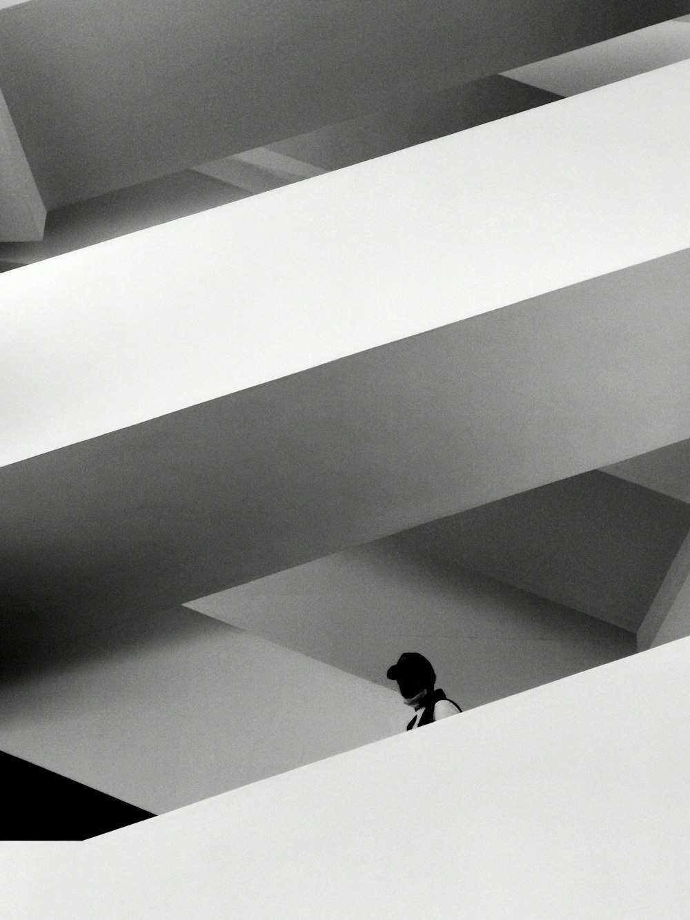 a black and white photo of a bird sitting on a ledge