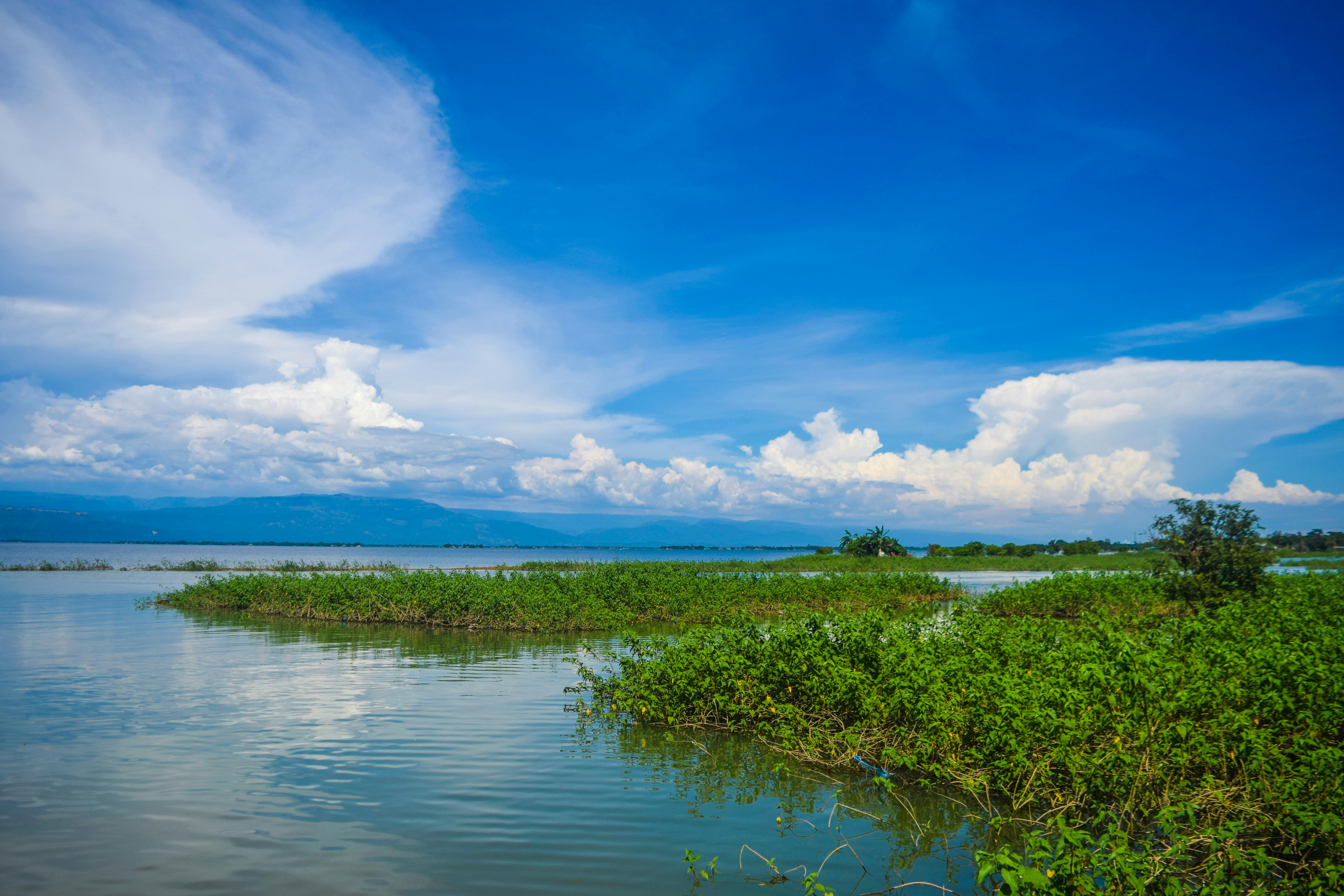 Photo by ideaz_sabbir