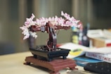 A detailed model of a bonsai tree constructed from interlocking plastic bricks, featuring pink and white blossom elements. It is placed on a two-tiered stand with a blurred background that includes various objects and books.