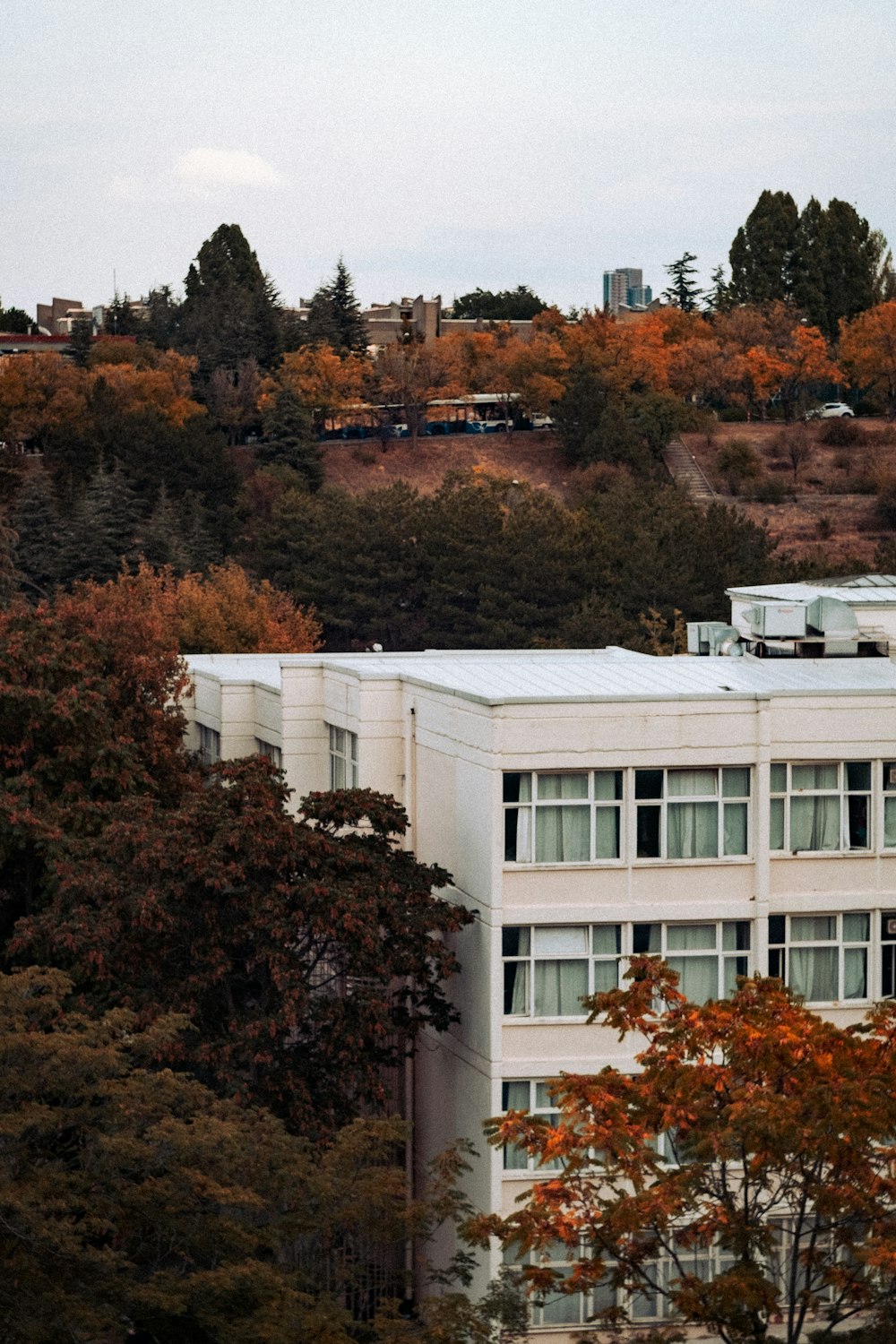 a white building with trees in the background