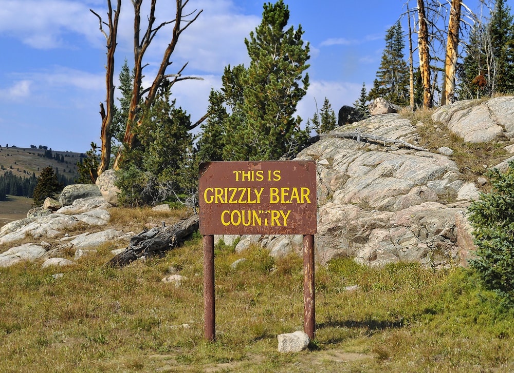 a brown sign sitting on the side of a lush green hillside