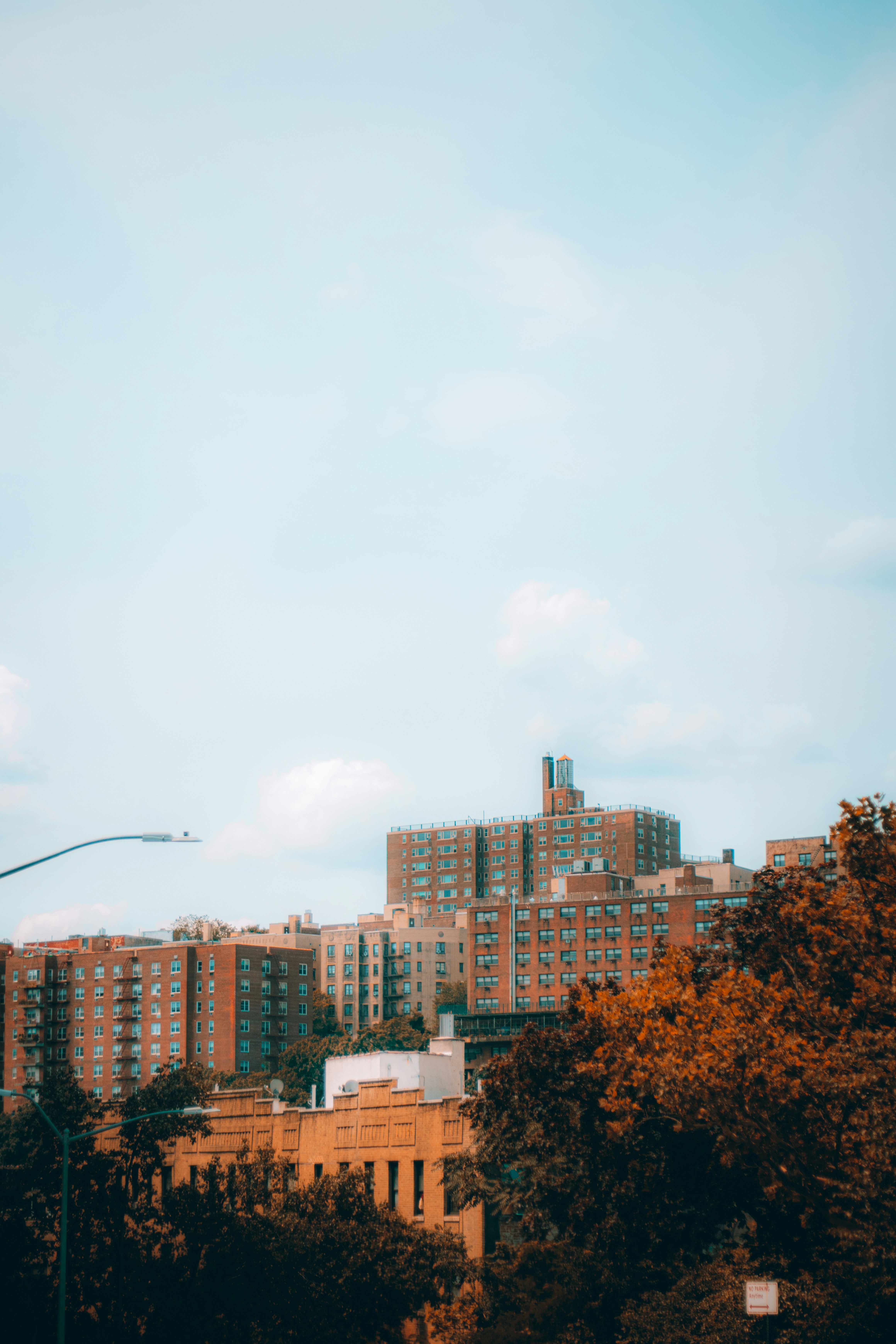 Photo by nelsondjesus