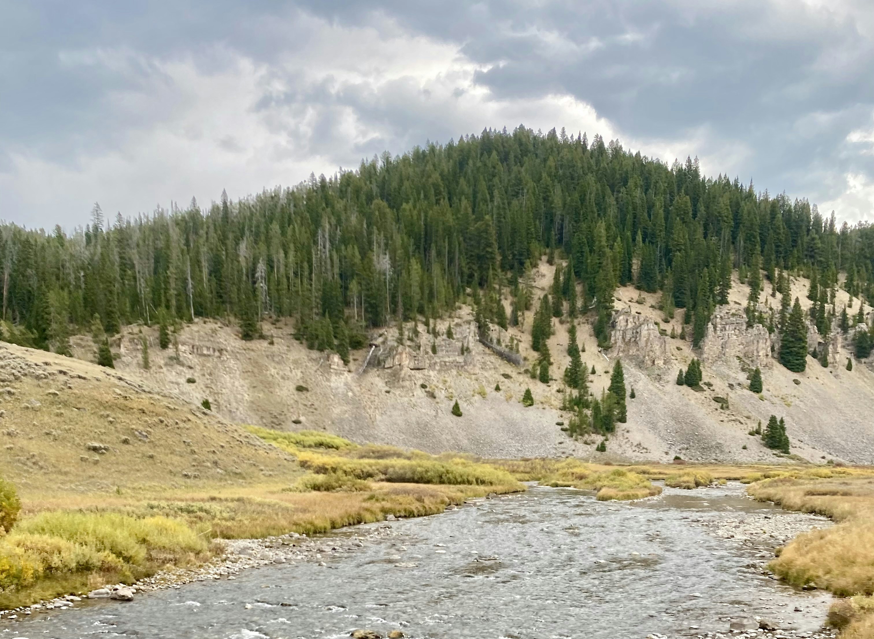 Photo by tgills19548