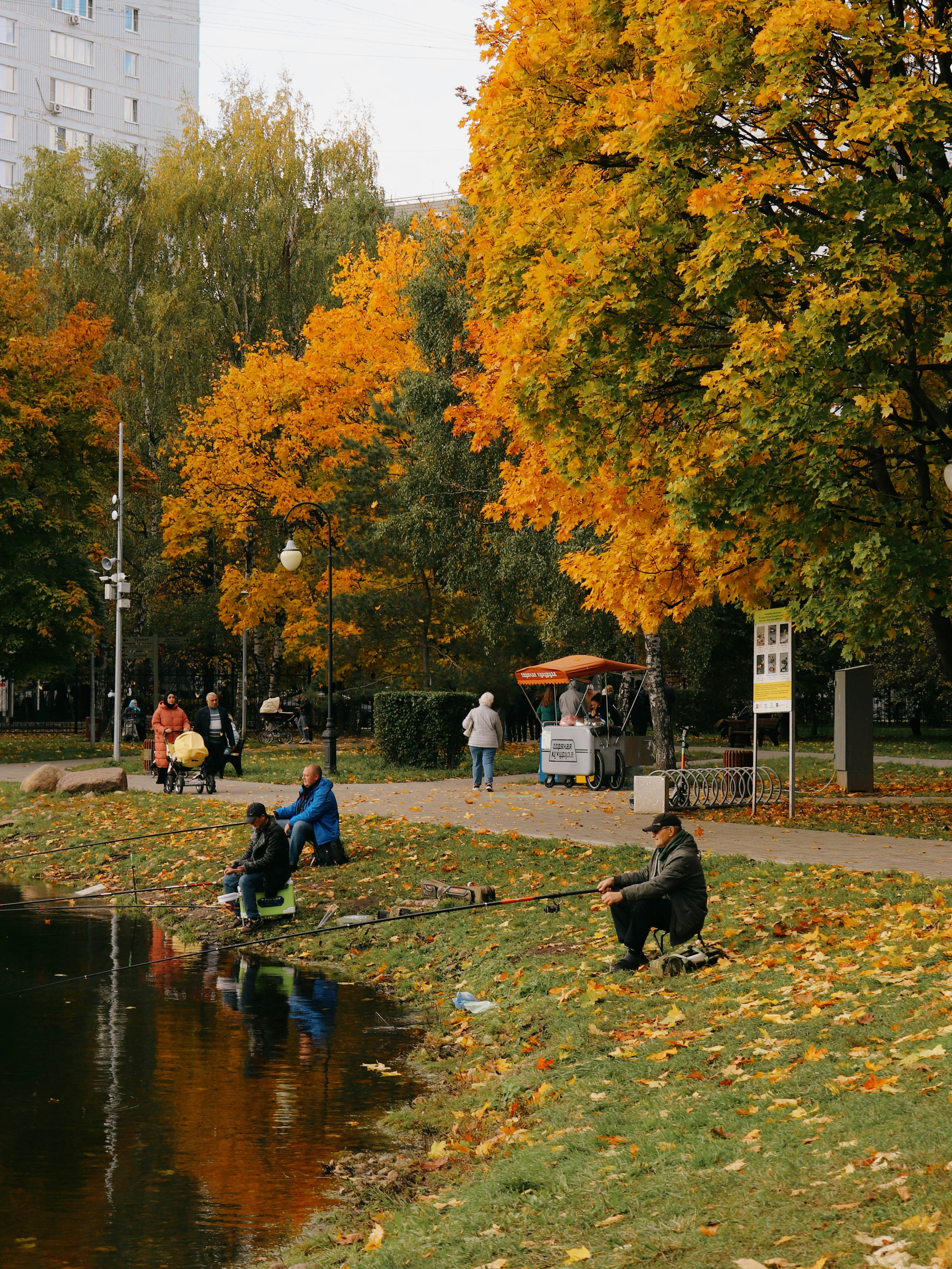 a group of people sitting next to a lake in a park