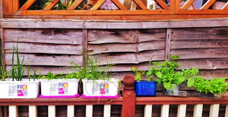 A cozy backyard garden corner with dusty rose pots filled with herbs and greenery.