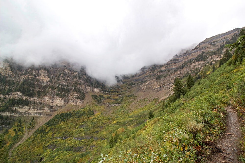 a trail going up a mountain side with clouds in the background