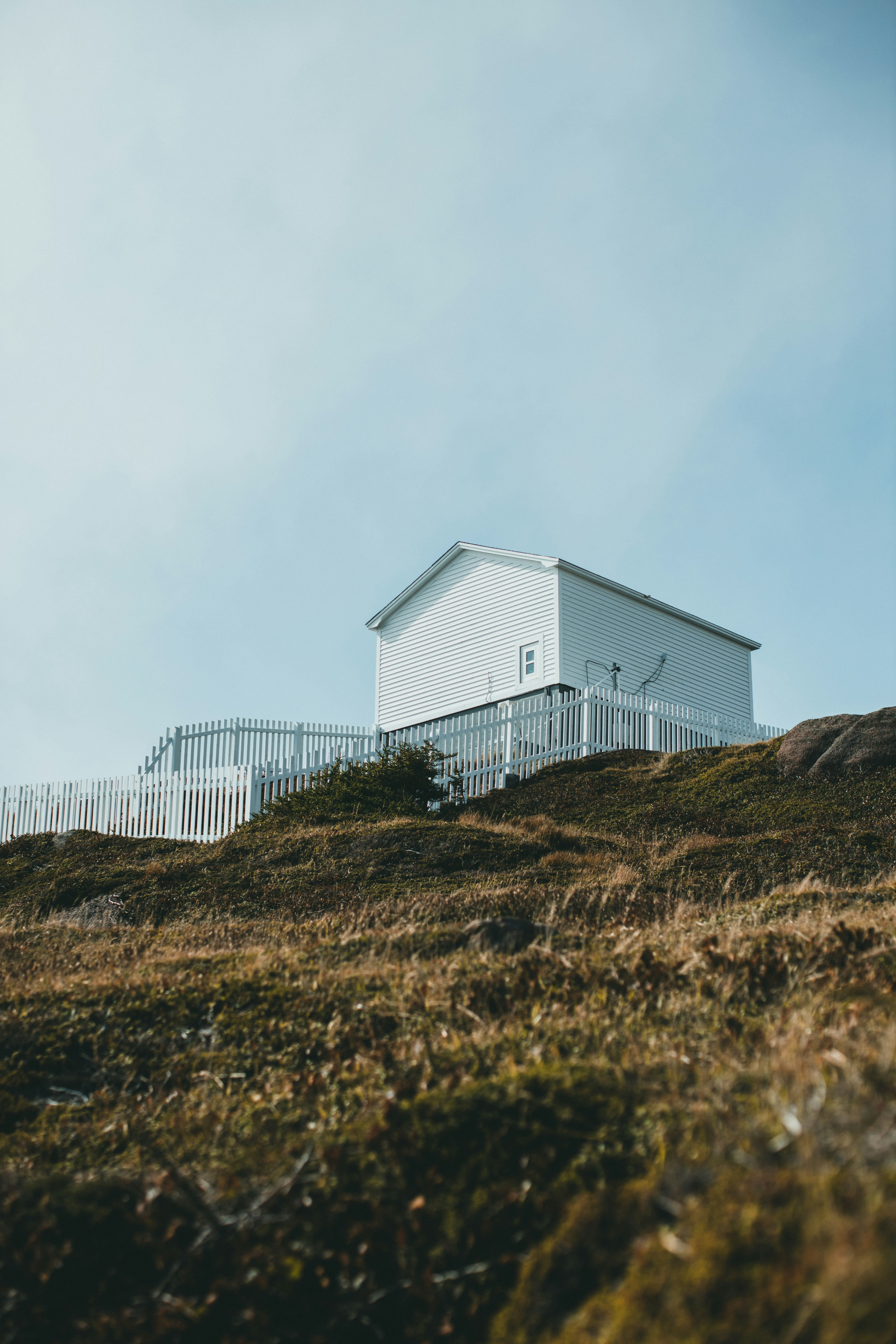 Photo by theshuttervision