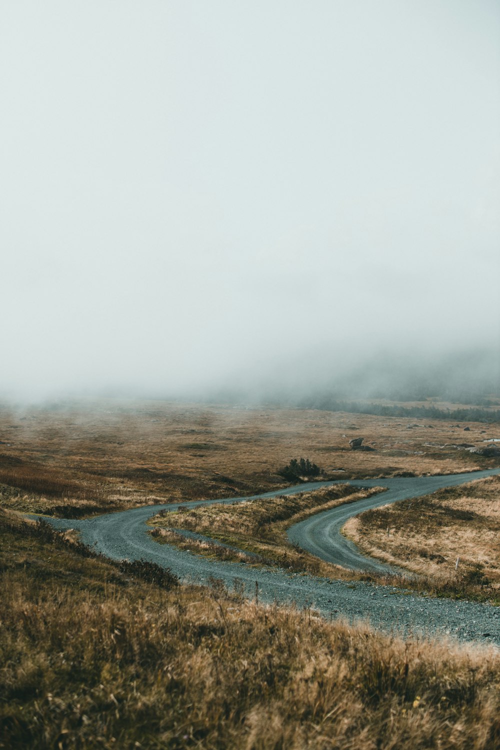 a winding road in the middle of a dry grass field