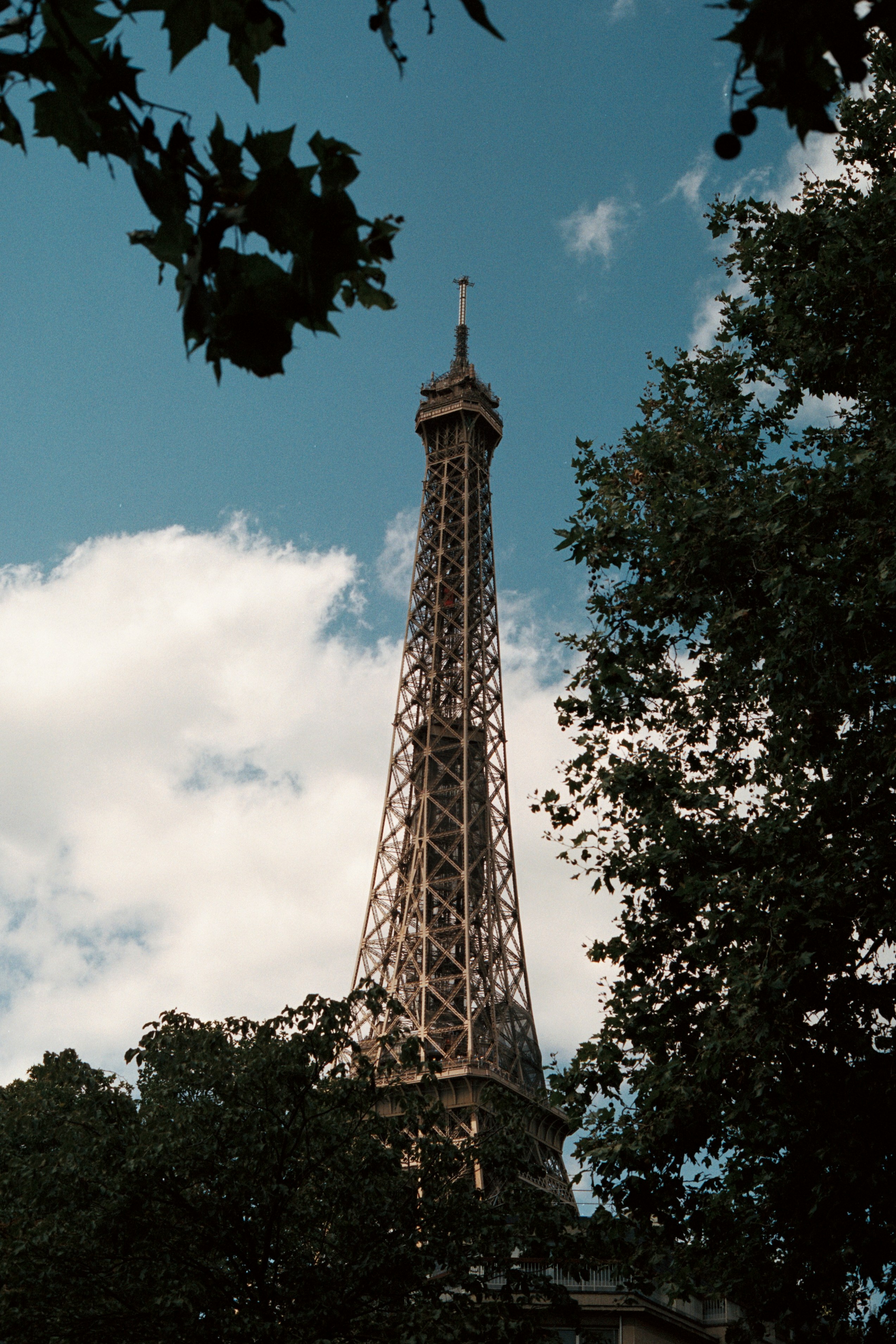 Une vue de la Tour Eiffel à travers les arbres