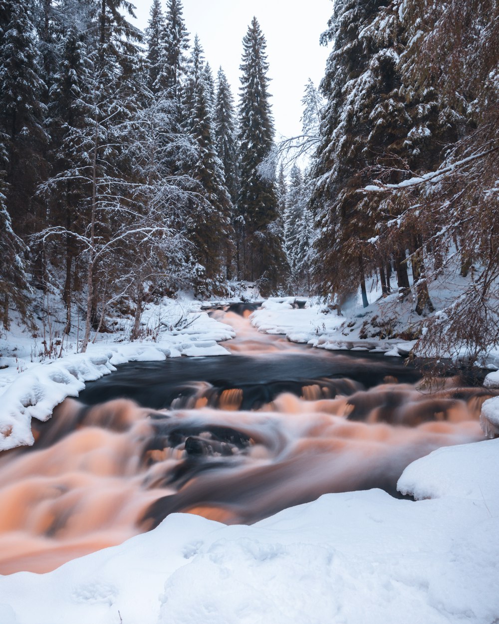 a stream running through a snow covered forest