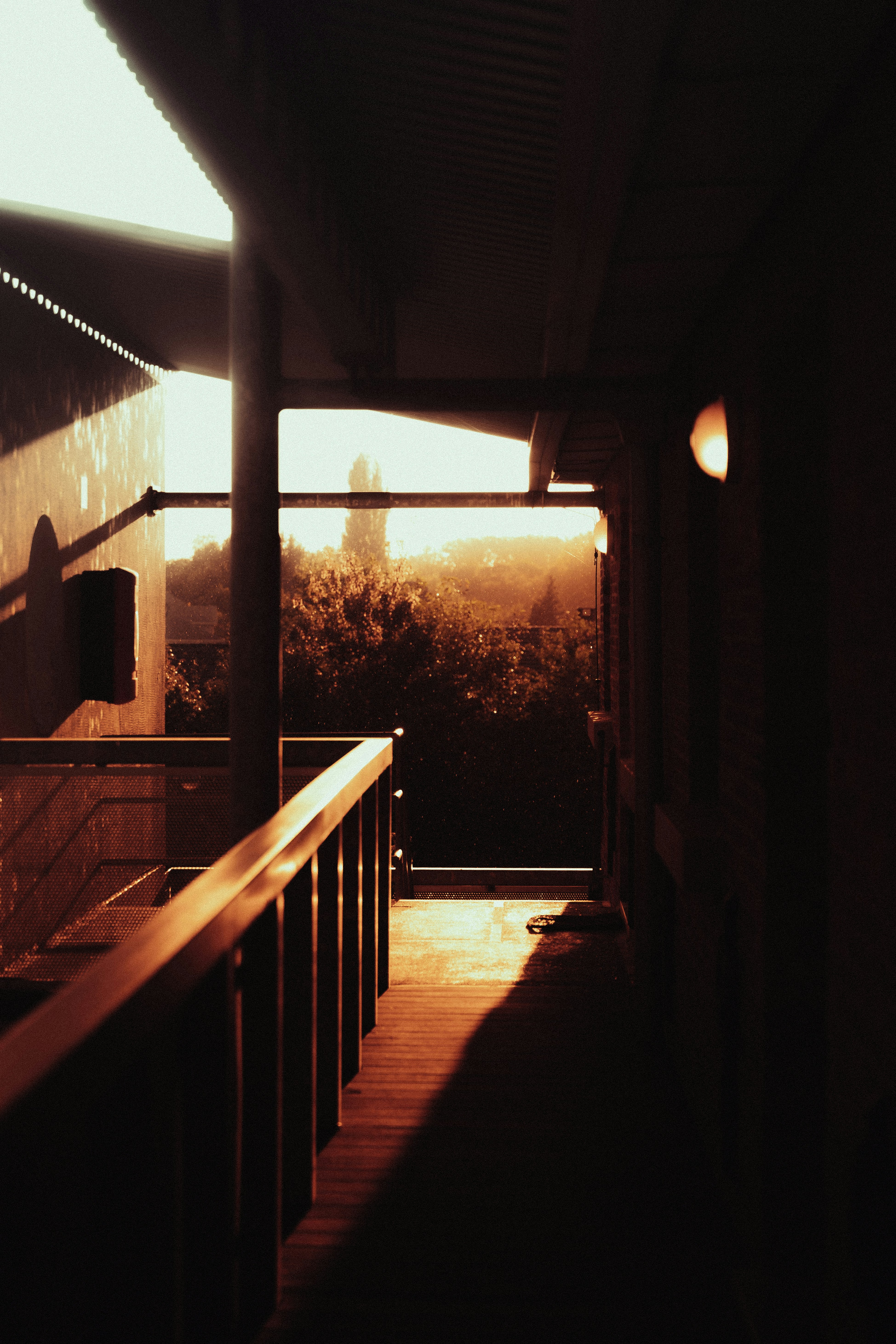 Photo by jonasjaekenmedia