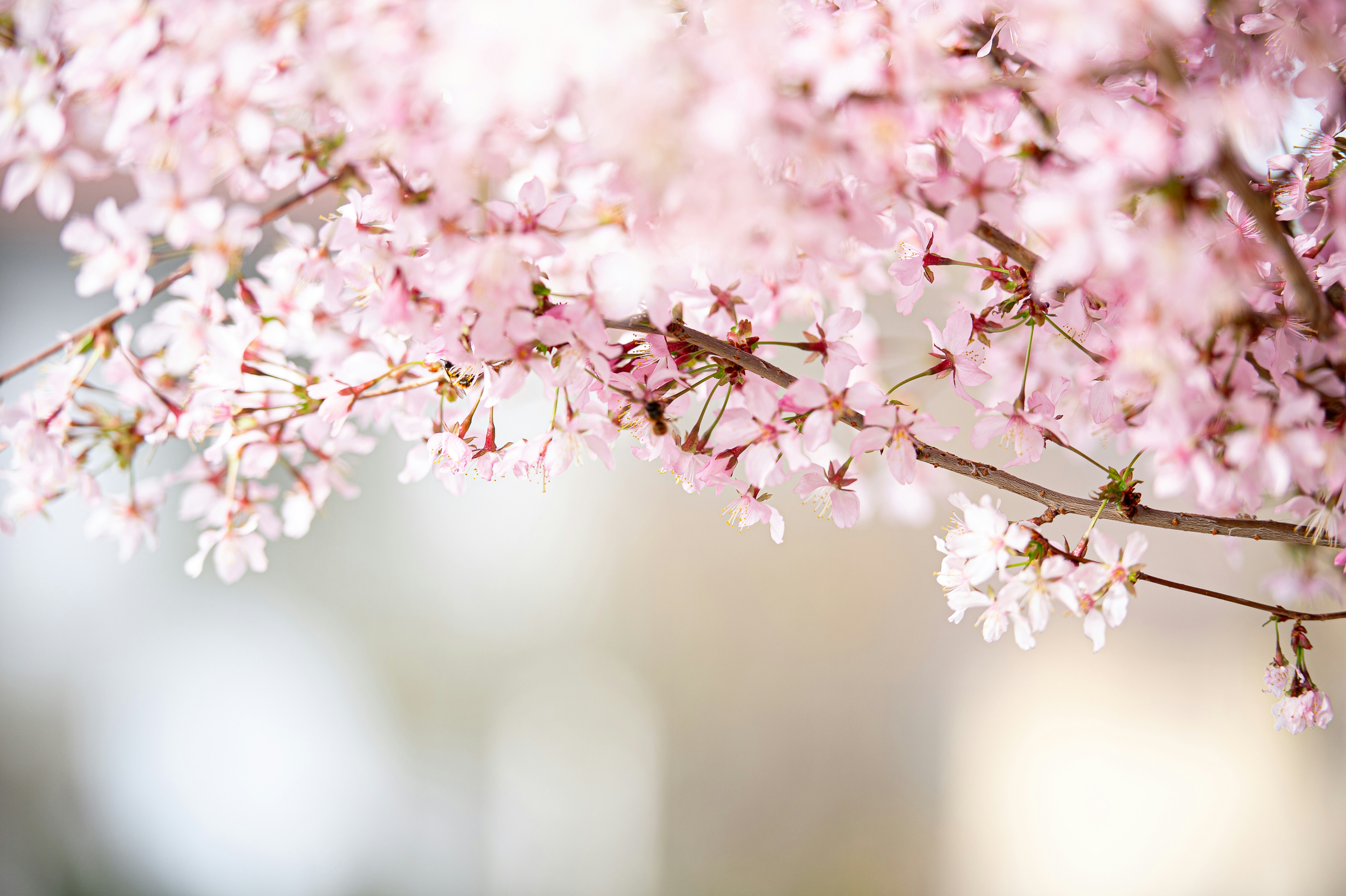 Photo by sandra_oberer