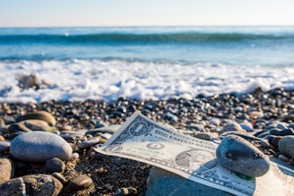 A one-dollar bill is partially covered by smooth pebbles on a rocky beach with ocean waves gently crashing in the background. The sunlight casts a bright and natural illumination on the scene.