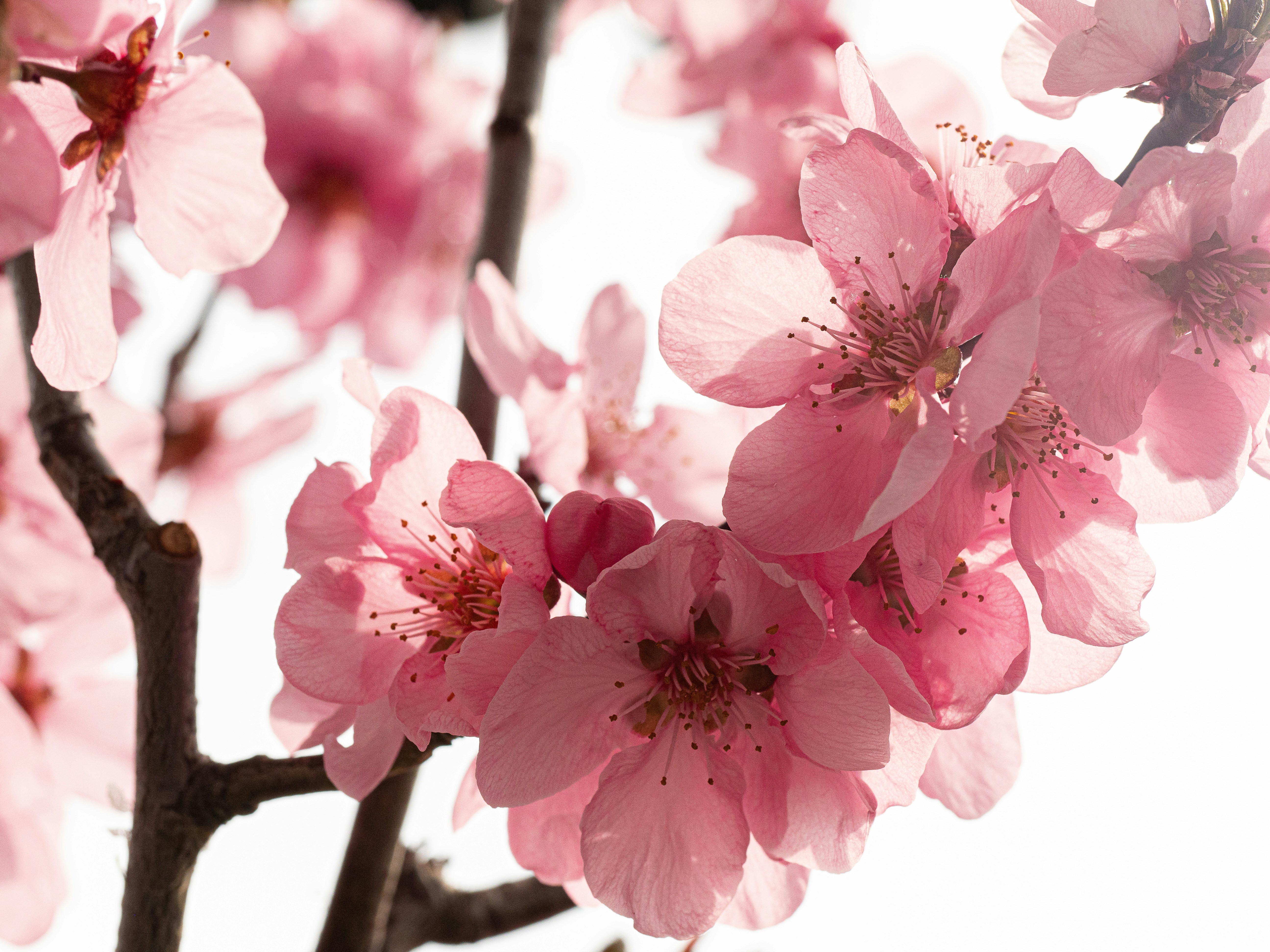 Photo by sandra_oberer