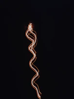 Soft glowing lines tracing the outline of a home, symbolizing protective energy fields.