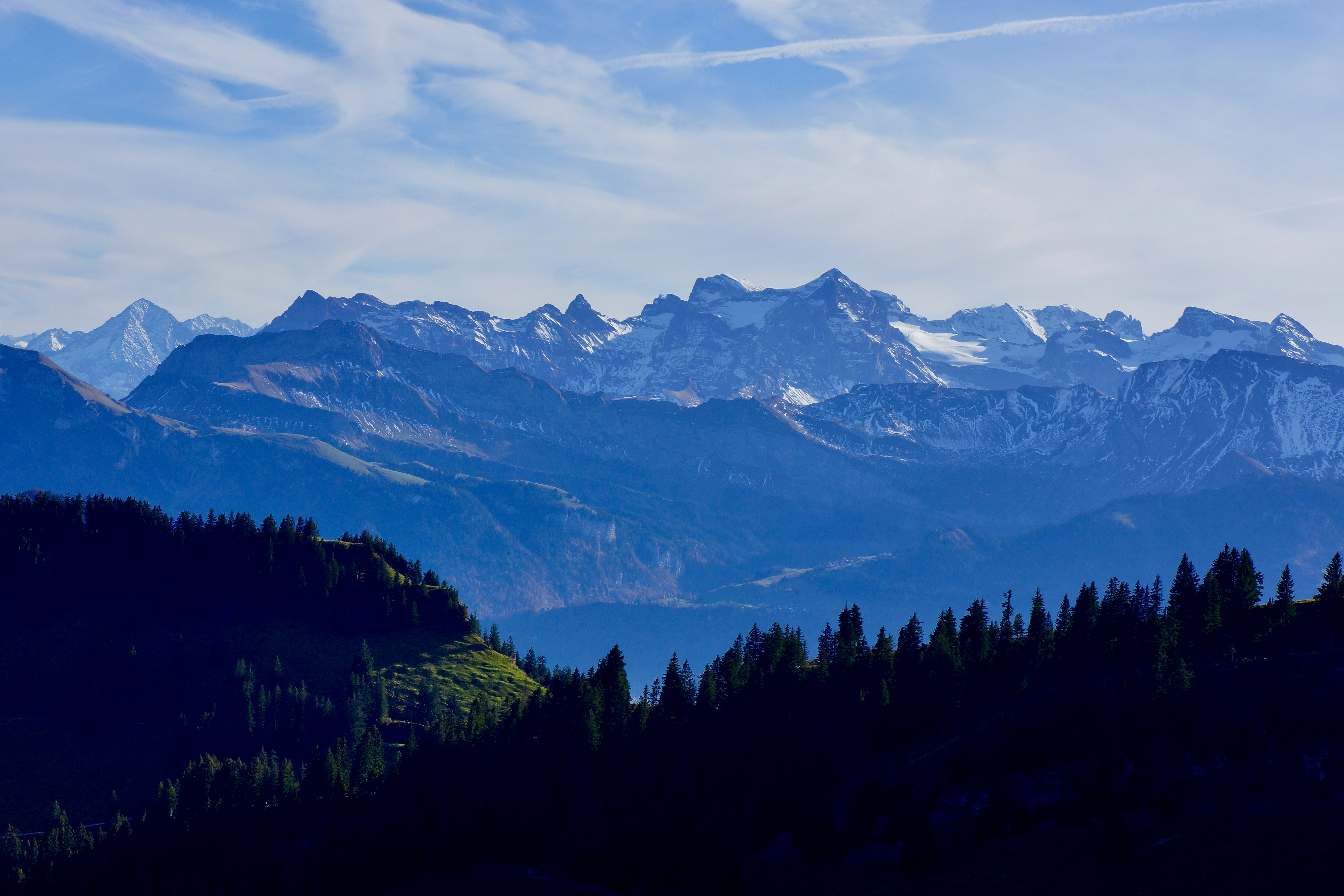 Photo by peterburdon