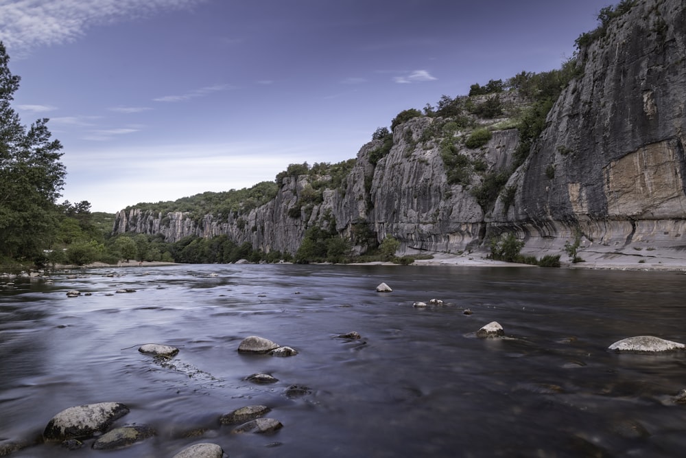 a river running through a lush green forest