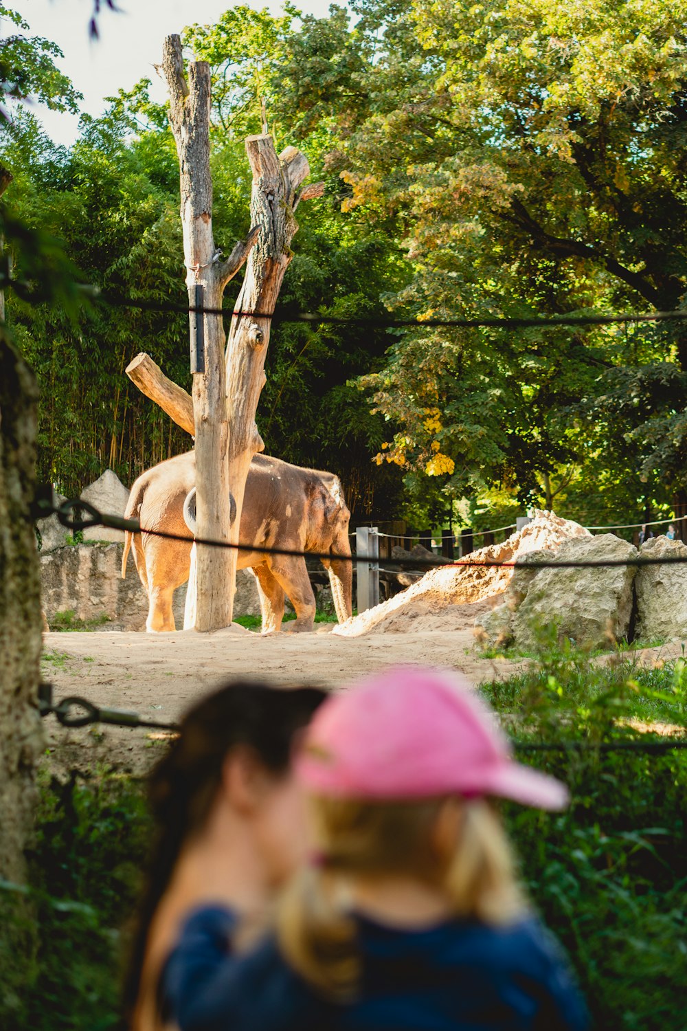 a woman and a child looking at a giraffe