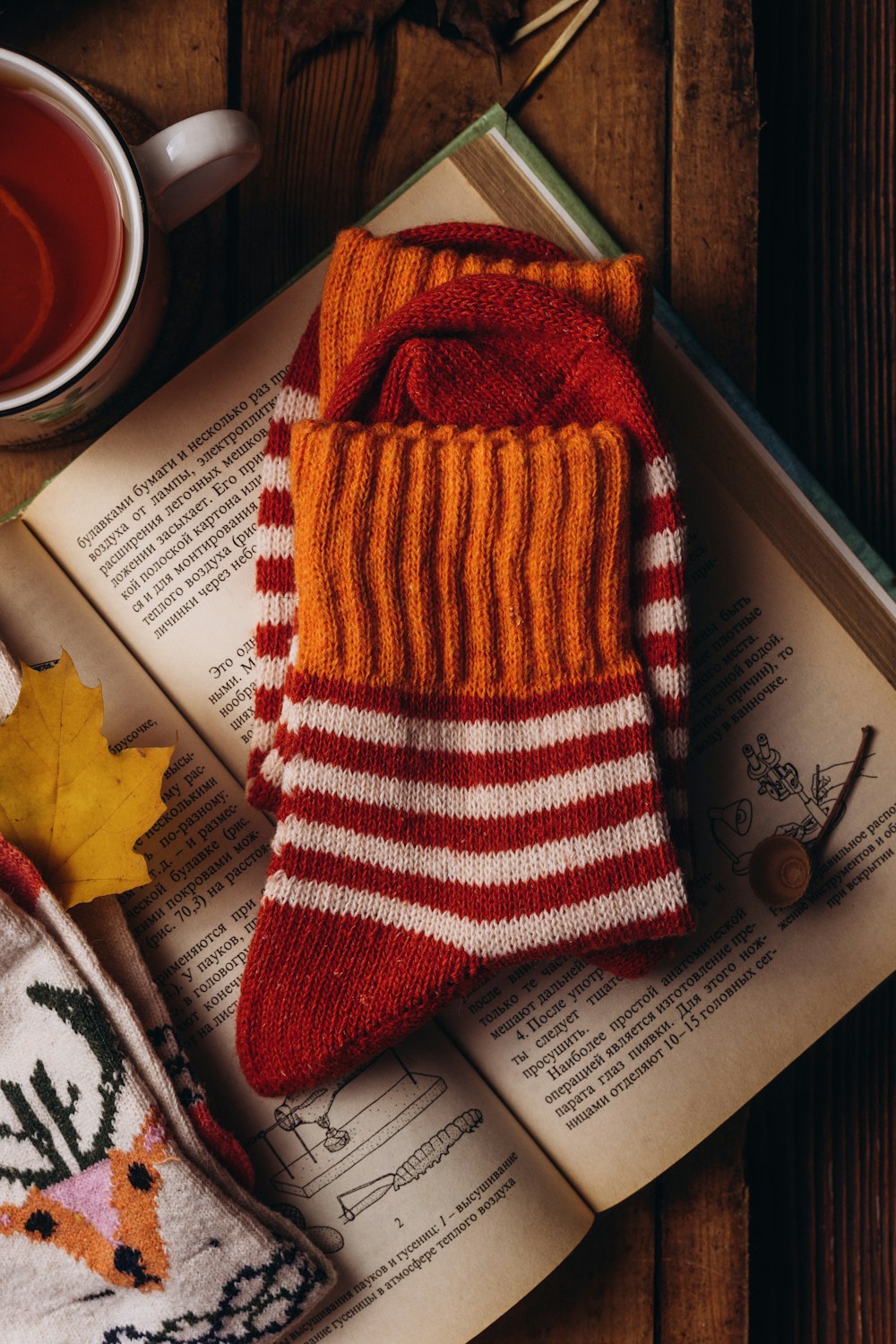 Ein gestrickter Handschuh sitzt auf einem offenen Buch