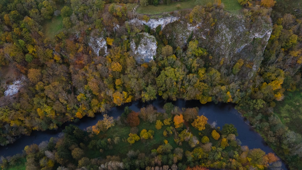 an aerial view of a river surrounded by trees