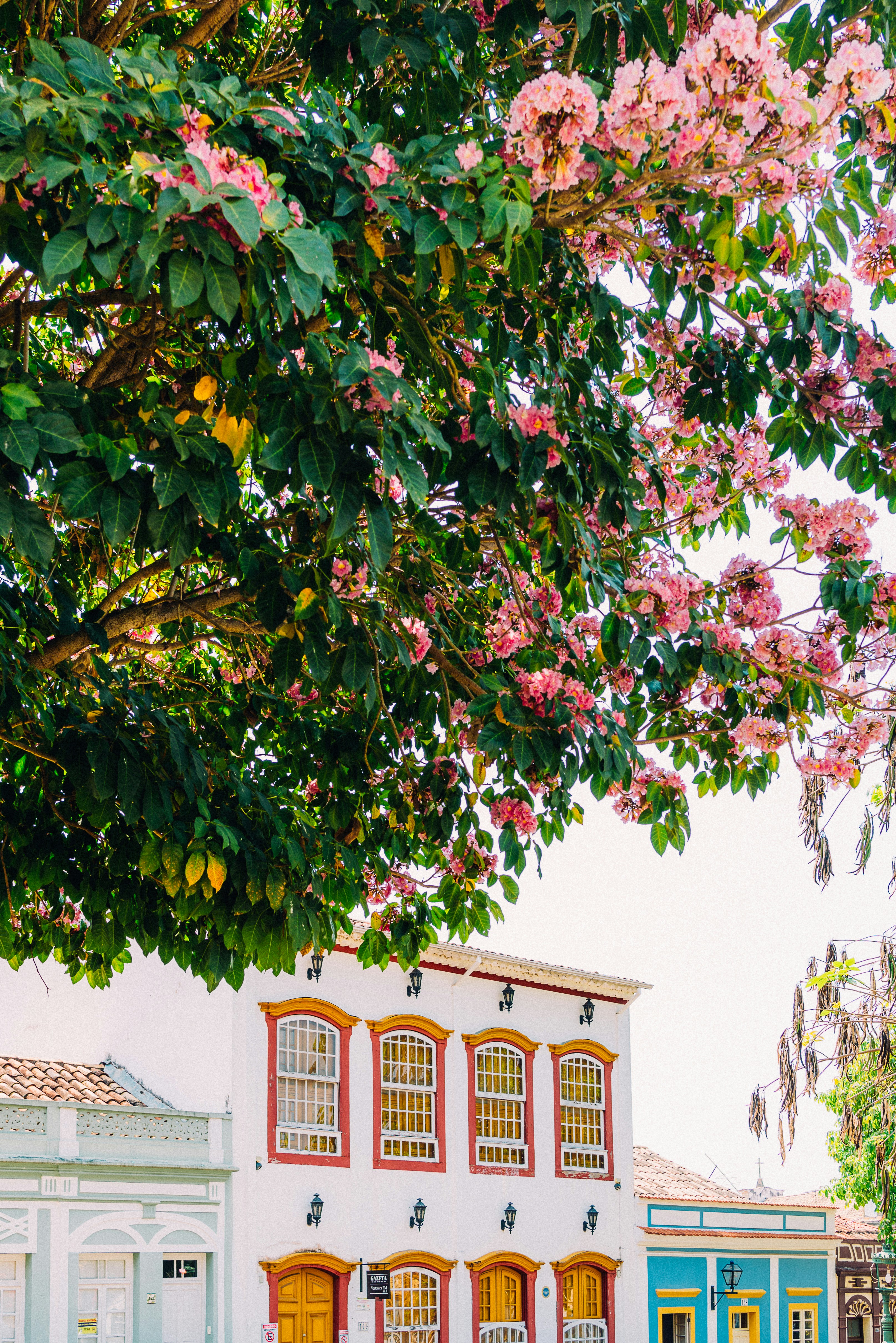 Photo by trintaycinco