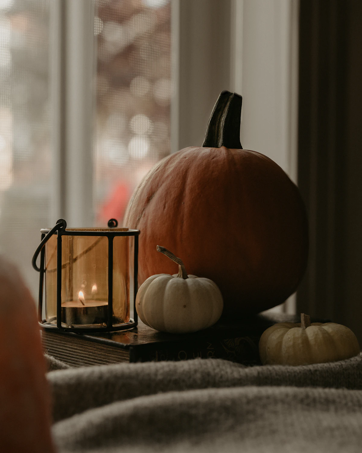 Pumpkins and a candle lantern on a knitted blanket by a window