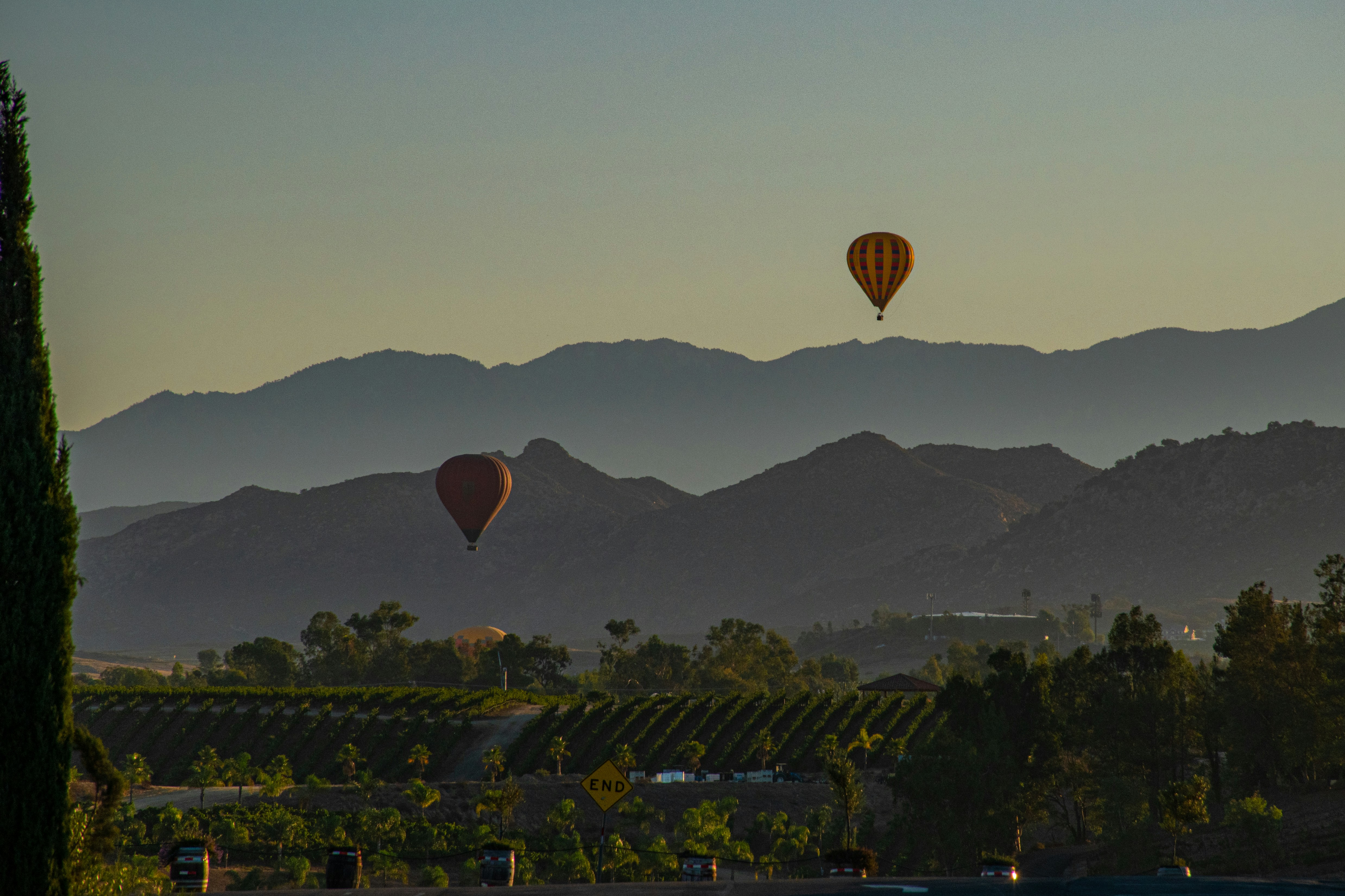 Hot air balloons floating over Napa Valley vineyards.