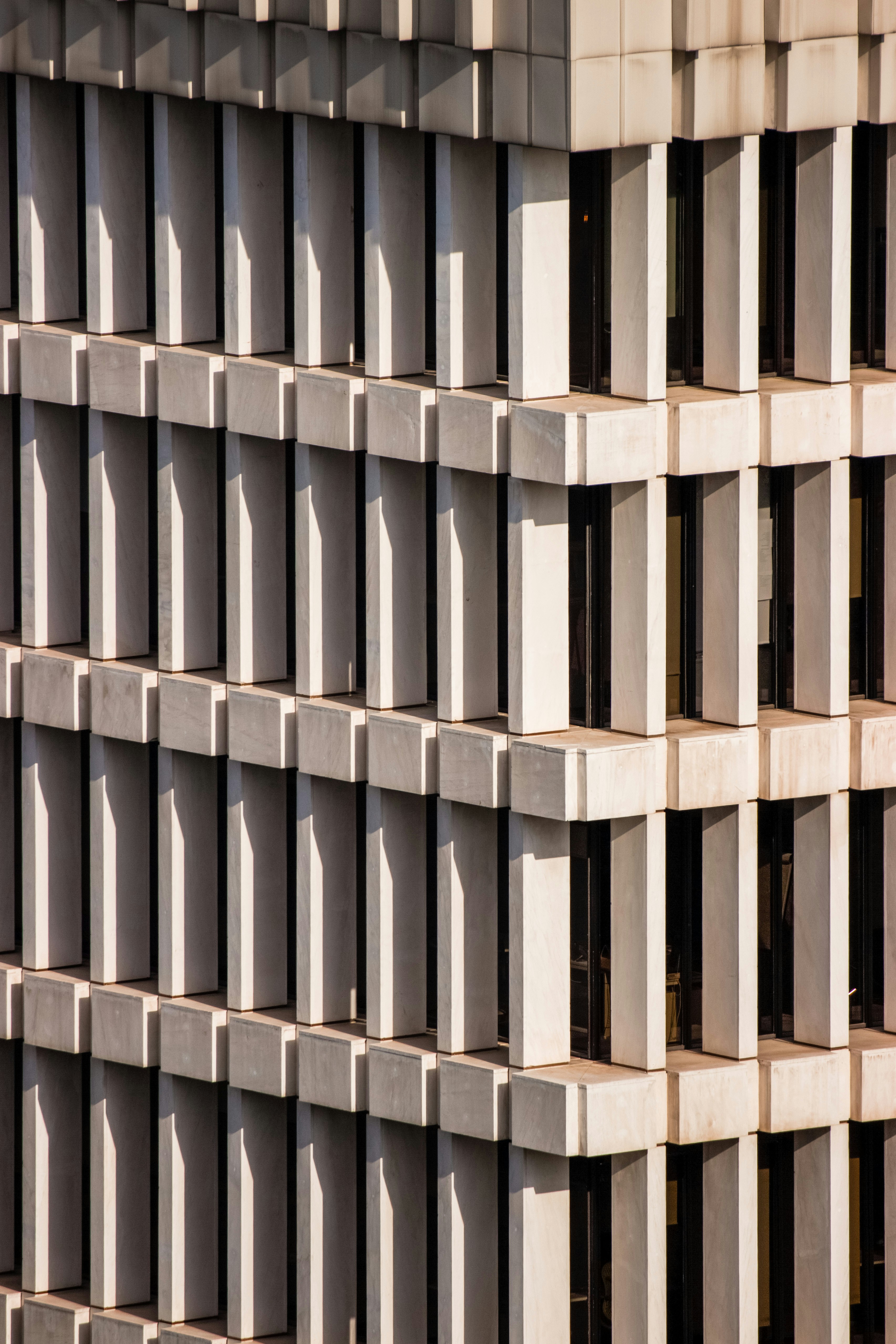 Photo by vincenzogallinaphotography