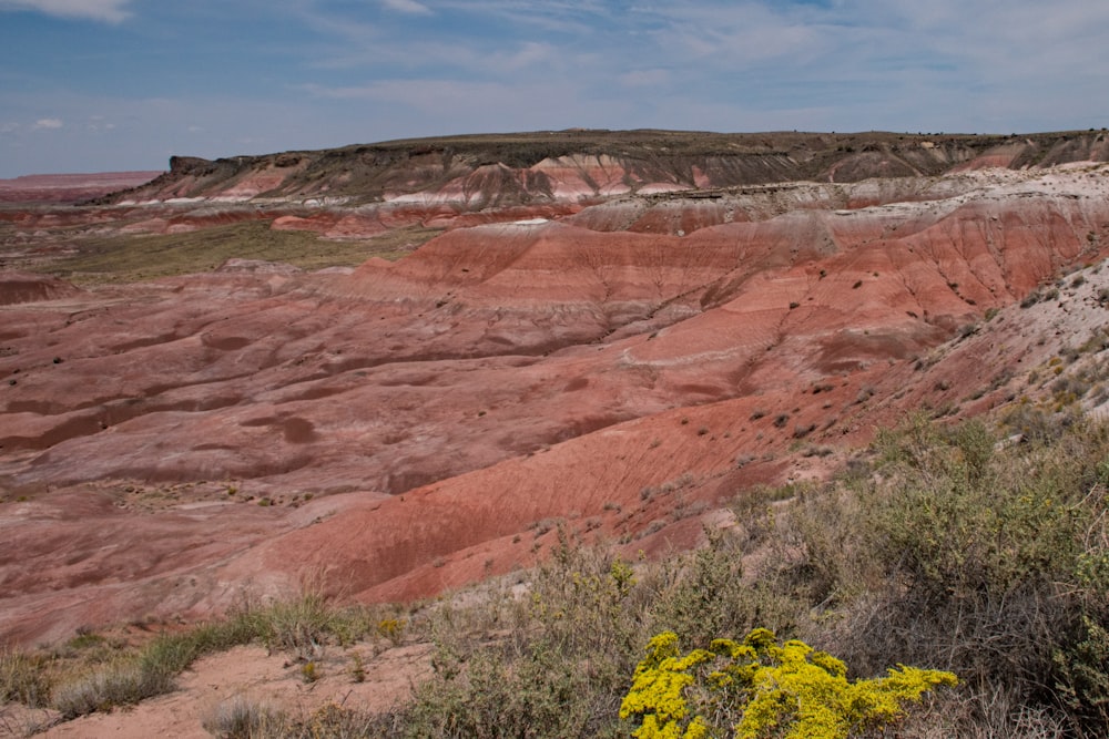 a view of a rocky landscape with yellow flowers in the foreground